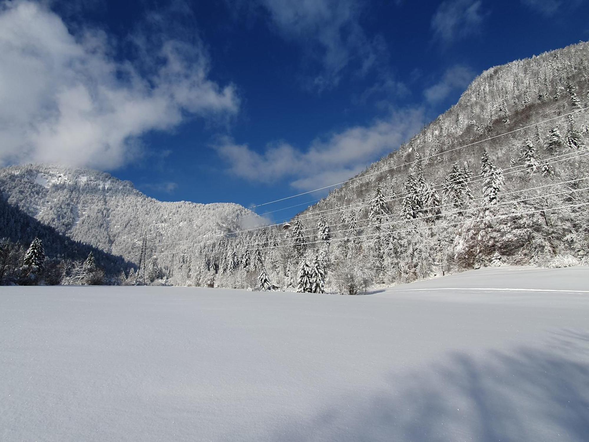 Apartmán Pruembachhof Schneizlreuth Exteriér fotografie